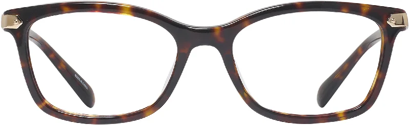Dark Tortoise