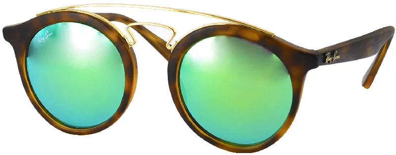 Ray-Ban 4256 Petite Sunglasses
