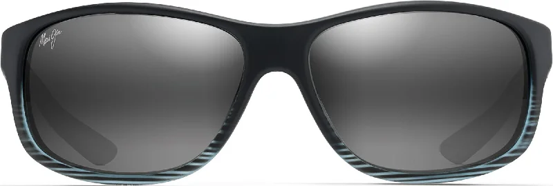 Grey Black Stripe/Grey Lens