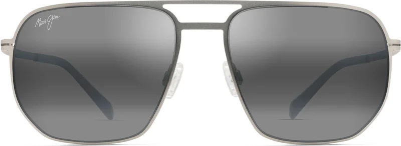 Titanium/Neutral Grey Lens
