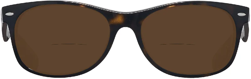 Tortoise