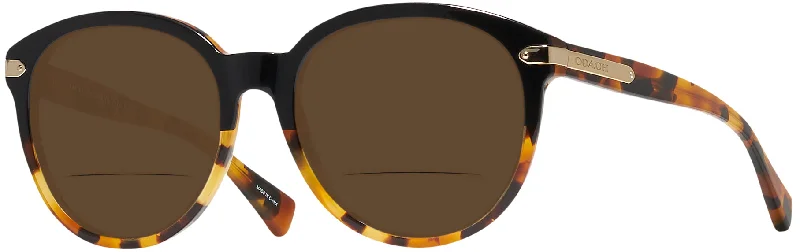 Coach 8140 Bifocal Reading Sunglasses