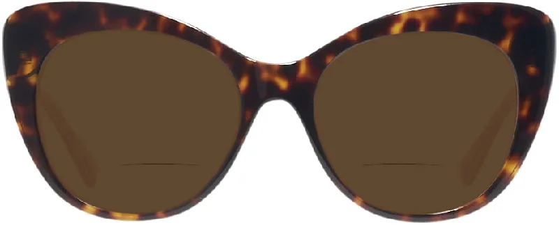 Dark Tortoise
