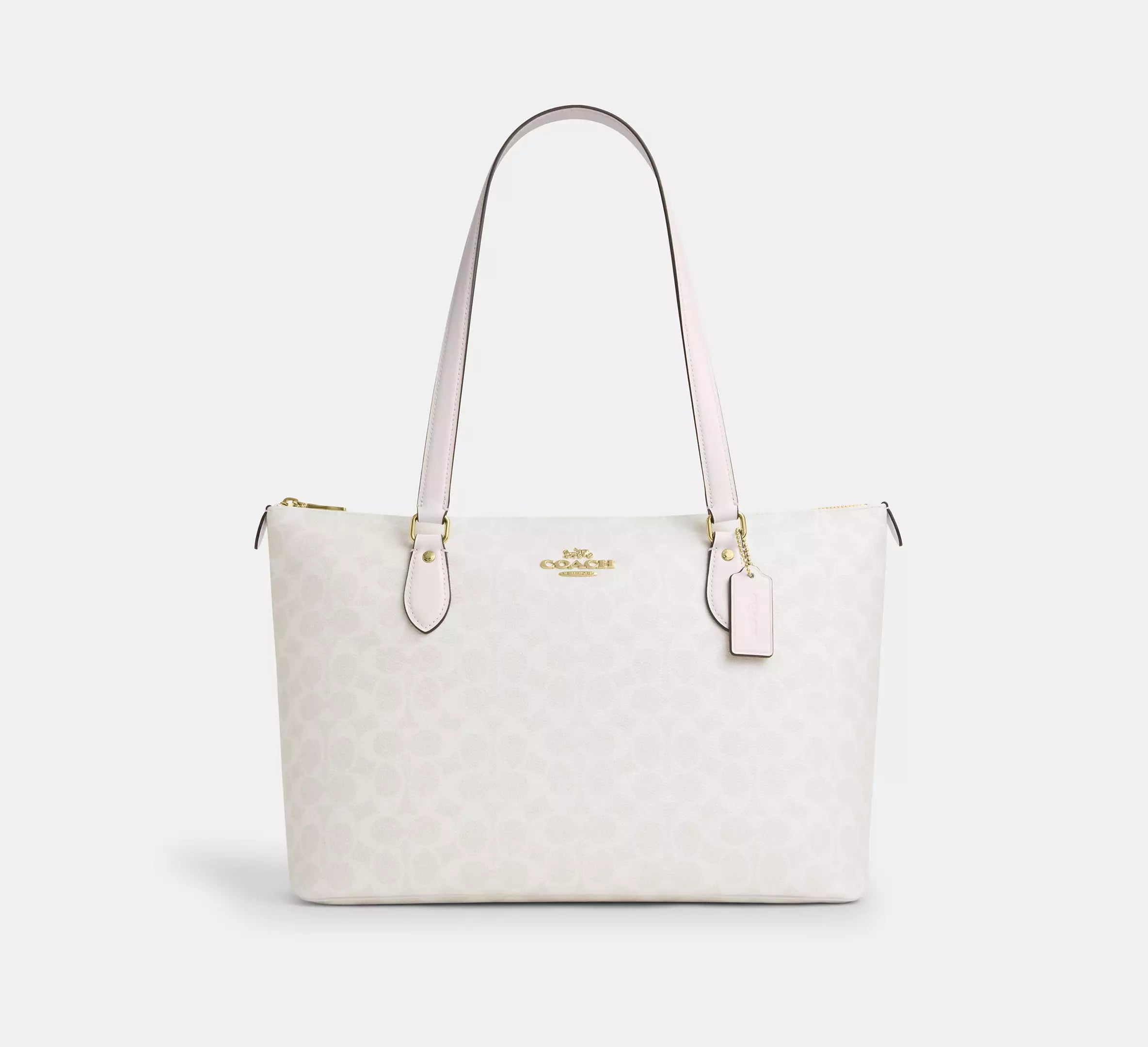 signature canvas/Gold/White/Chalk