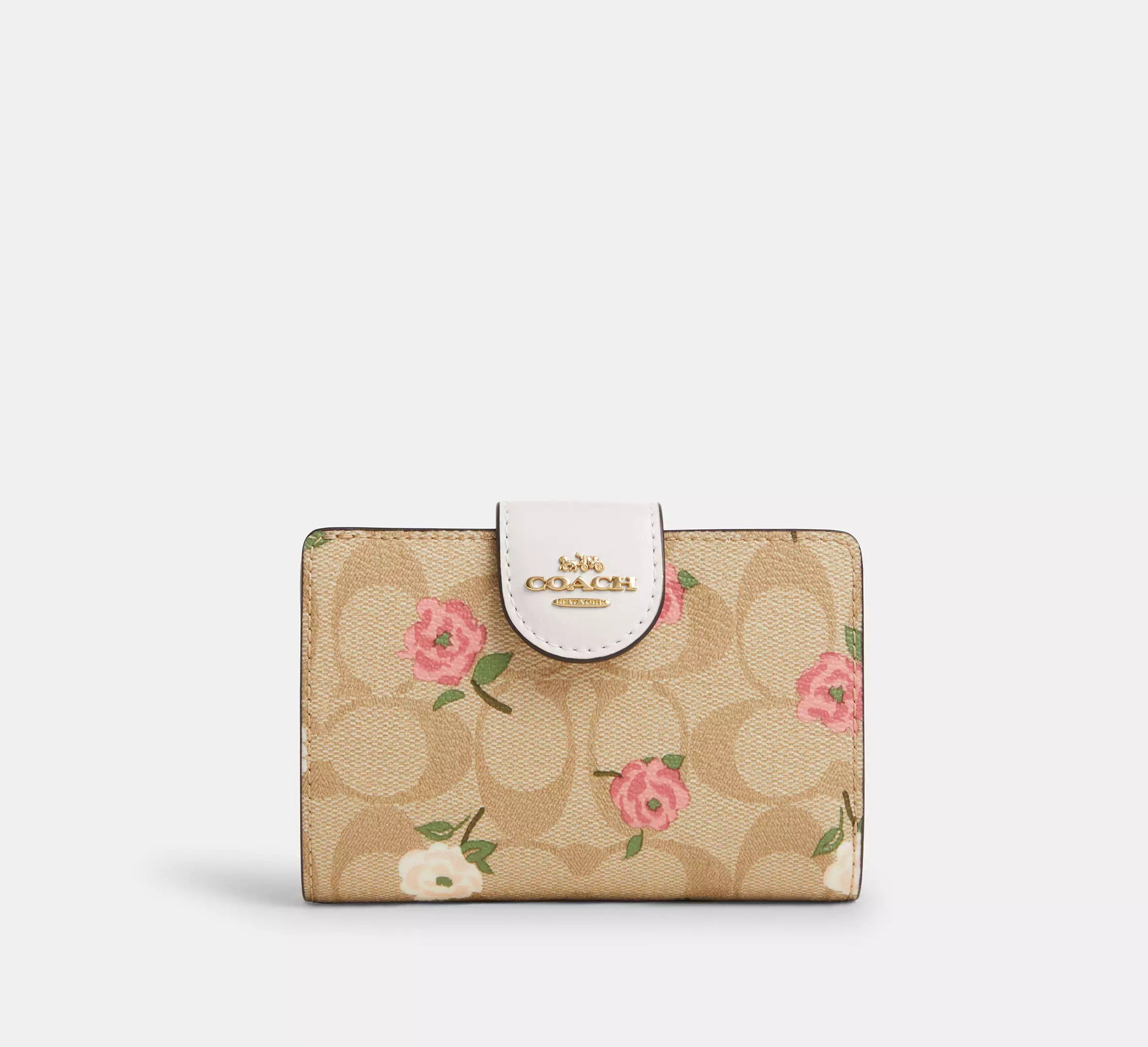 signature canvas/Gold/Light Khaki Chalk Multi