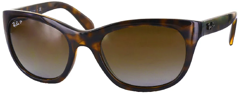 Ray-Ban 4216 Sunglasses