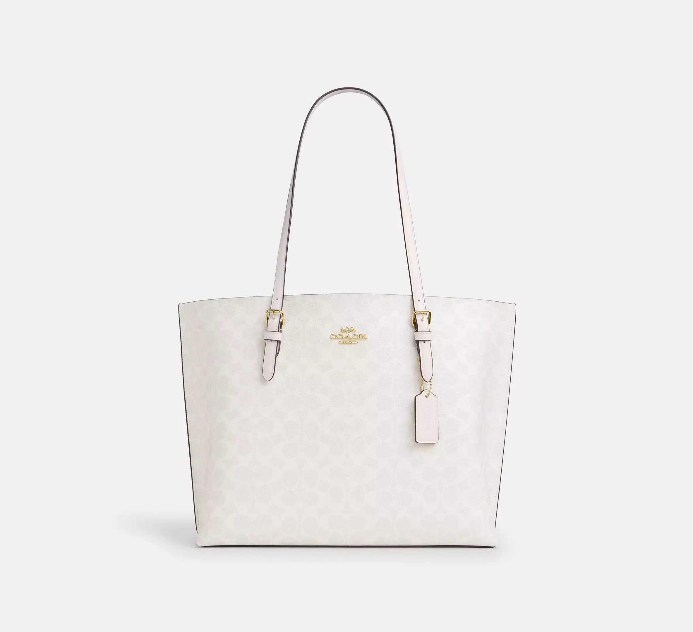 signature canvas/Gold/White/Chalk