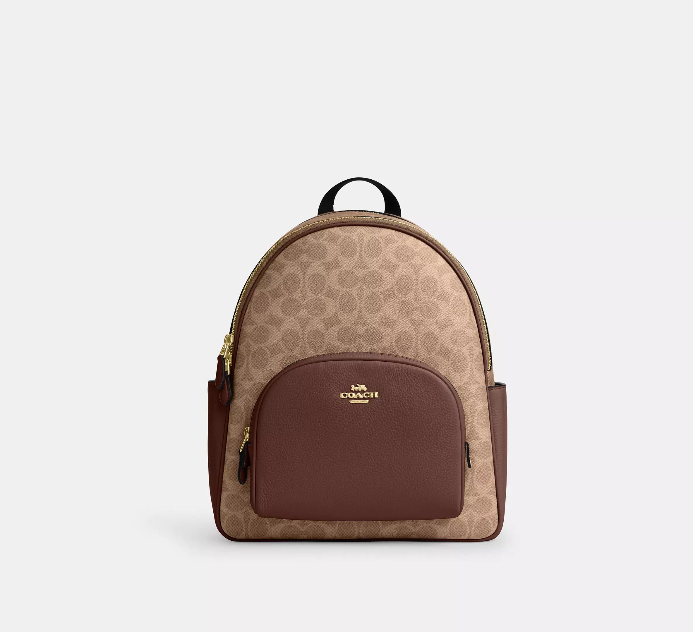signature canvas/Gold/Tan/Brown