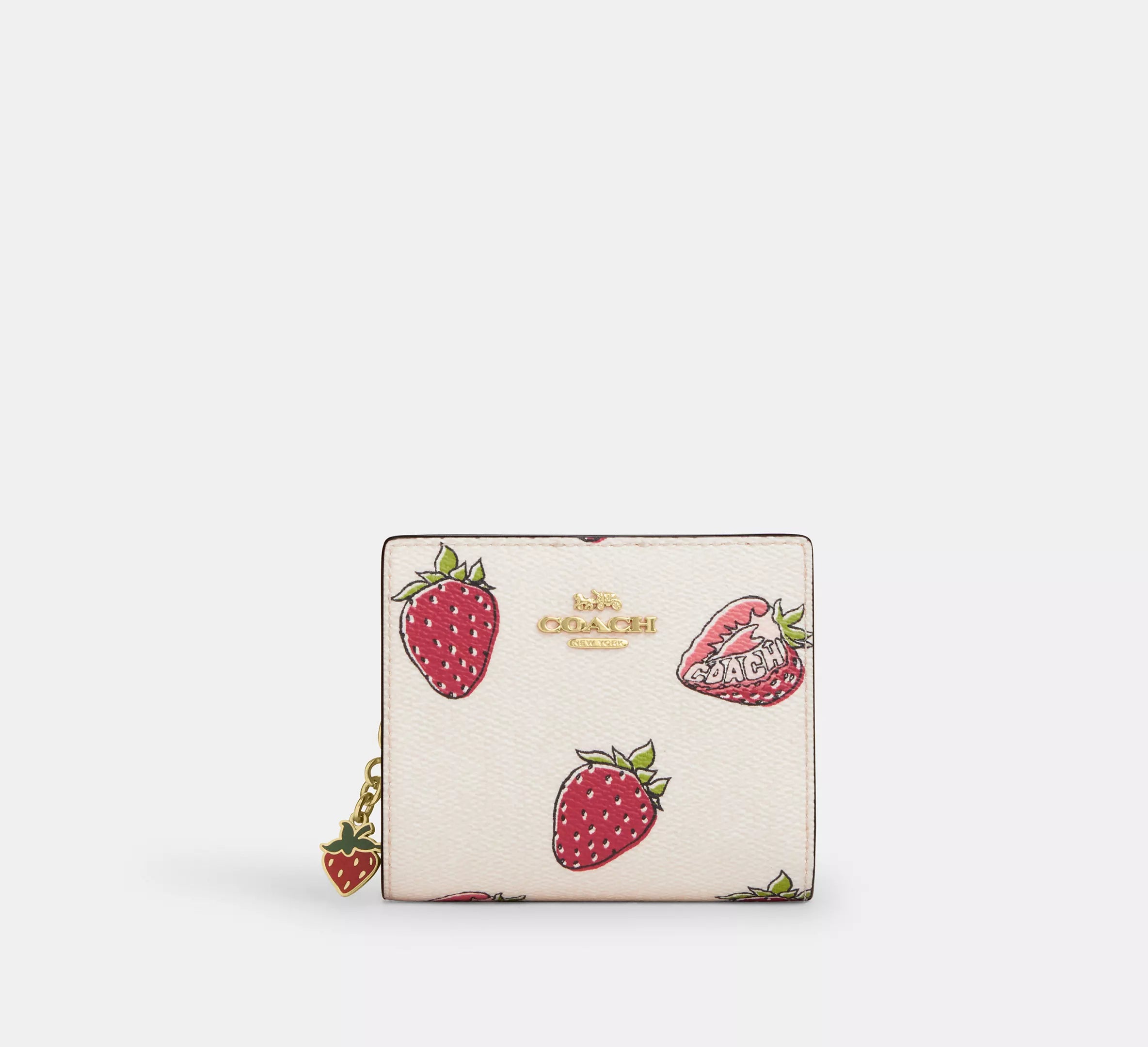 coated canvas/Gold/Chalk Multi