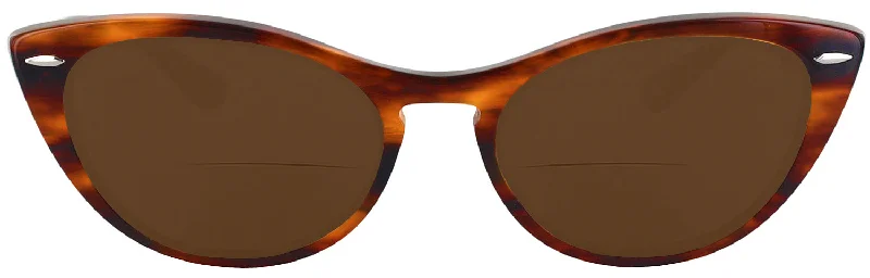 Tortoise