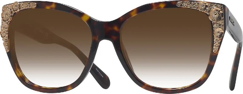 Coach 8244 w/ Gradient Progressive Reading Sunglasses