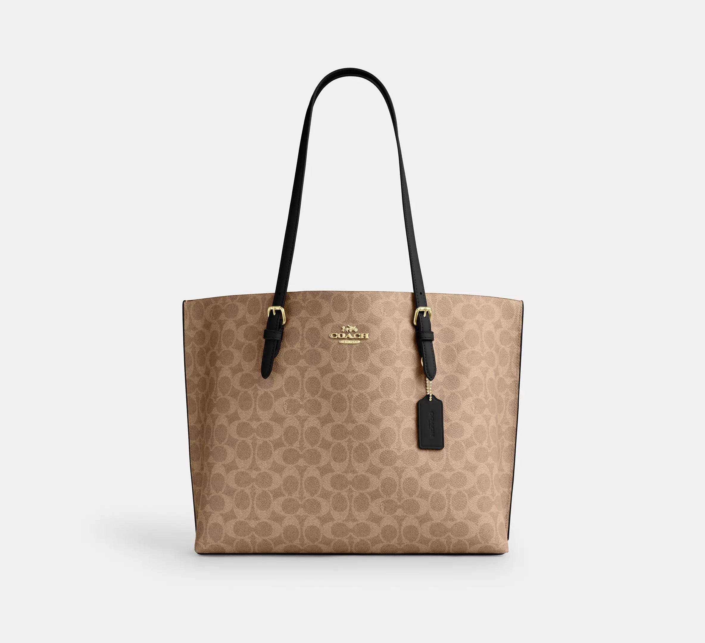signature canvas/Gold/Tan/Black