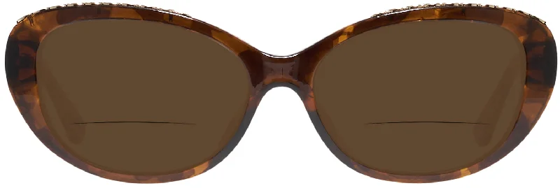 Dark Tortoise